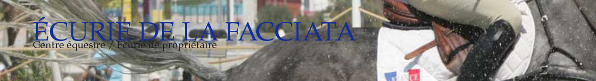 ÉCURIE DE LA FACCIATA